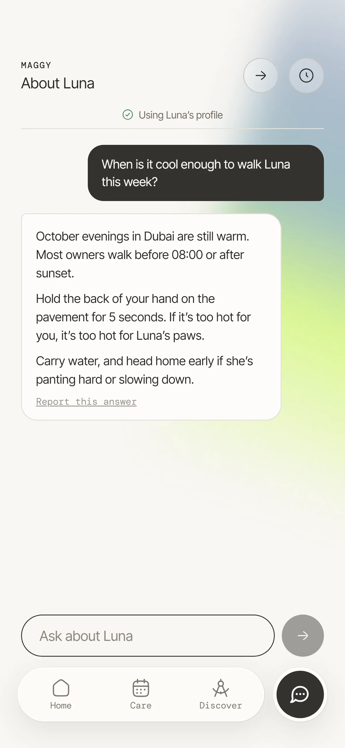 Maggy chat answering a question about walking a dog in the heat
